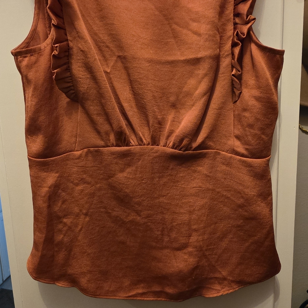 Express Rust Ruffled Blouse